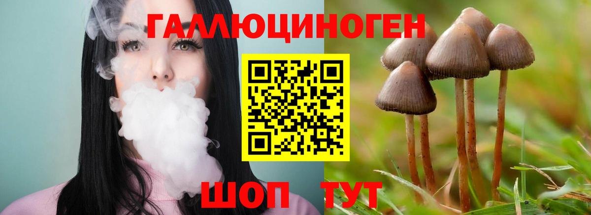 Моздок  Галлюциногенные грибы мицелий  Вход с VPN 